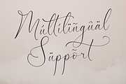 Garbina Sarleta Beauty Calligraphy, a Script Font by Storytype Studio (Thumbnail 11 of 14)