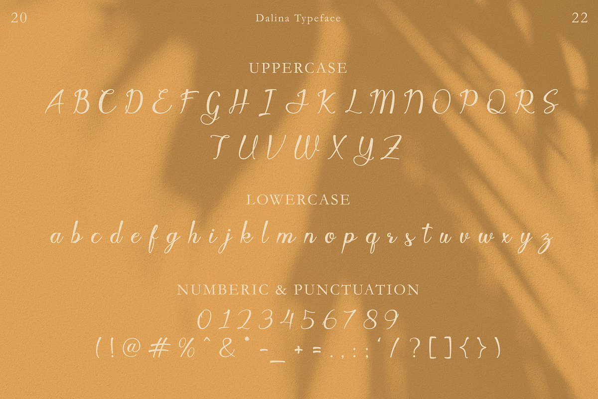 Javin, a Script Font by Flawless And Co (Photo 10 of 11)