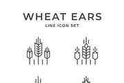 Set line icons of wheat ears, an Outline Icon by motorama (Thumbnail 1 of 2)