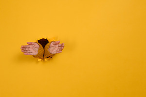 Two female hands in yellow sleeves peek out from a torn hole in, a Person Photo by ndanko