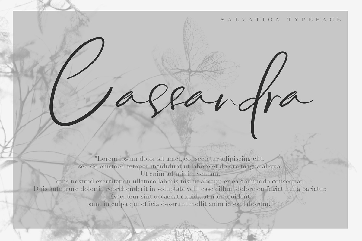 Salvation Script preview 3