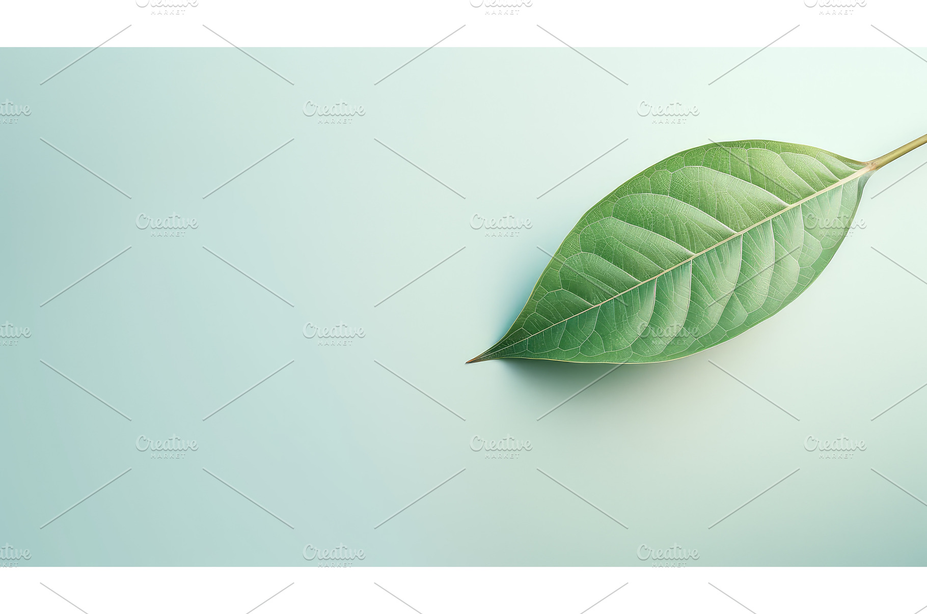 nature leaves product background ai, a Nature Photo by pikepicture
