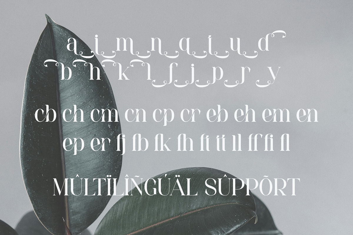 Seroja - Elegant Serif Font, a Serif Font by Aqeel_Art (Photo 11 of 12)