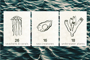 INKED SEALIFE hand drawn vector set, an Animal Illustration by Lena Nikolaeva (Thumbnail 3 of 11)
