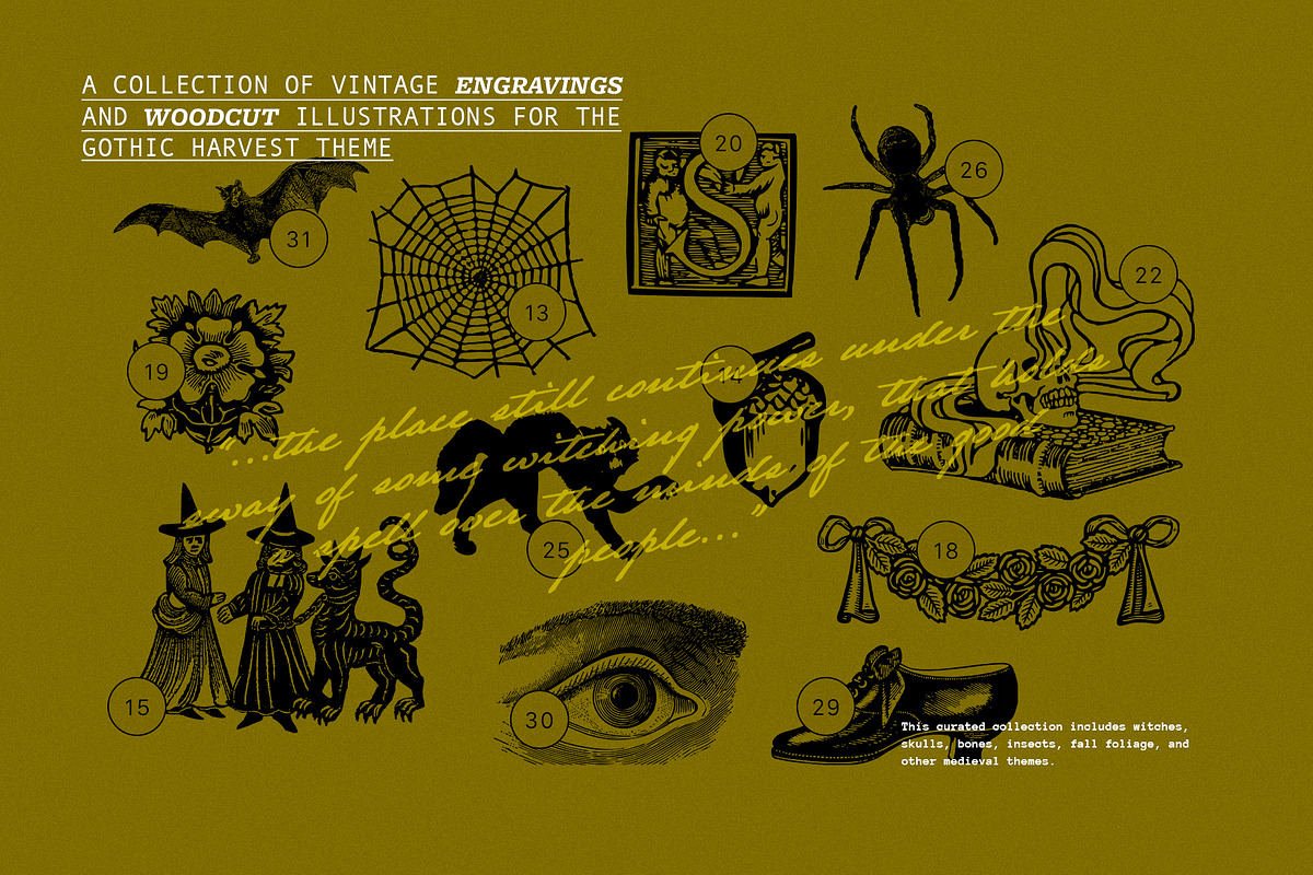 HARVEST GOTHIC Illustrations, a Seasonal Illustration by Desert Poetic (Photo 3 of 10)