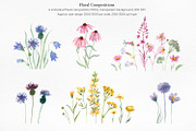 Wildflower Watercolor Collection, a Decorative Illustration by Anna Druzhkova (Thumbnail 4 of 23)