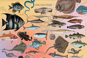 Incredible Collage, an Object Graphic by nadispasibenko (Thumbnail 14 of 15)