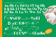 Master Gedon Modern Bold Serif, a Serif Font by timelesstype.co (Thumbnail 17 of 19)