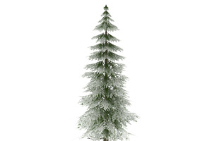 Canadian Spruce Tree Snow V3