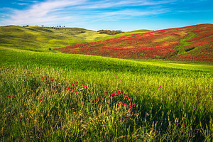 Amazing agricultural lands in Italy, a Nature Photo by Alpine Dreams