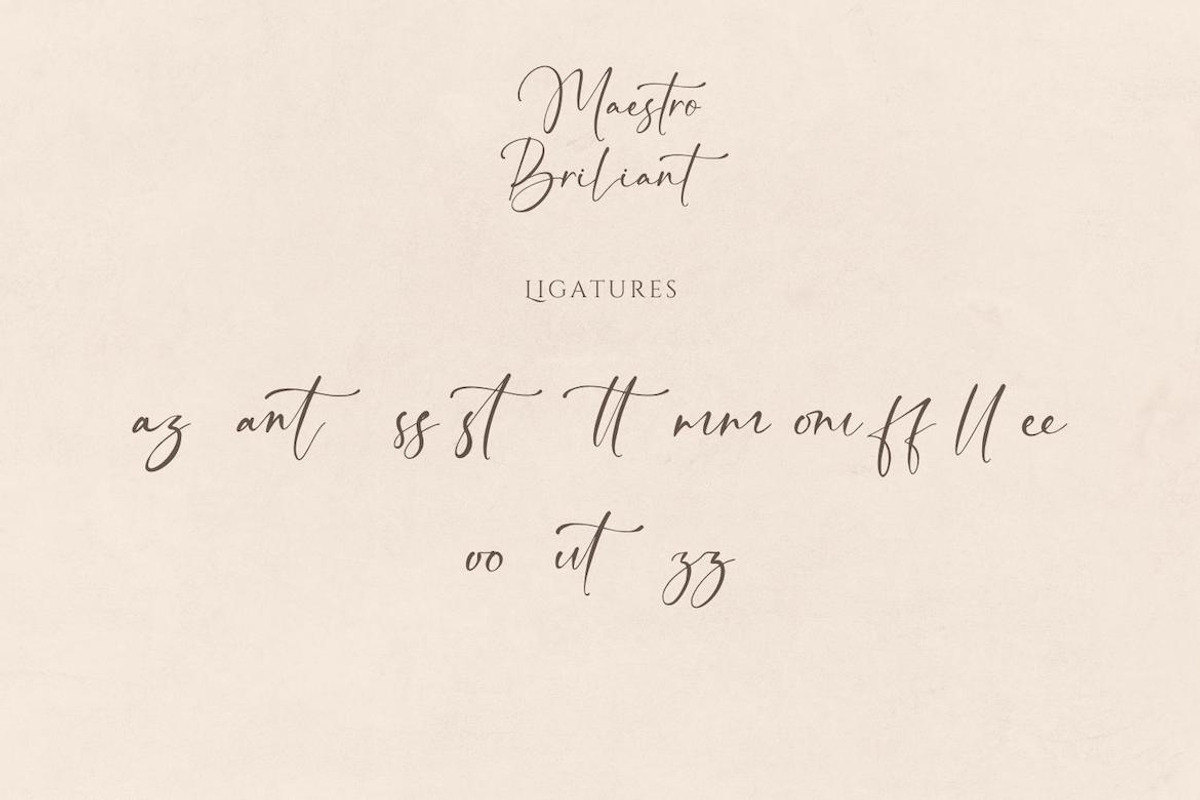 Maestro Brilliant, a Handwritten Font by CreateBigSupply (Photo 6 of 9)