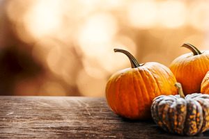 Autumn pumpkins still life table, a Holiday Photo by hitdelight
