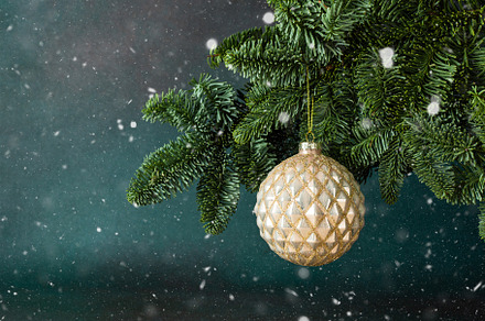 Christmas ball hanging, a Holiday Photo by Pandateam