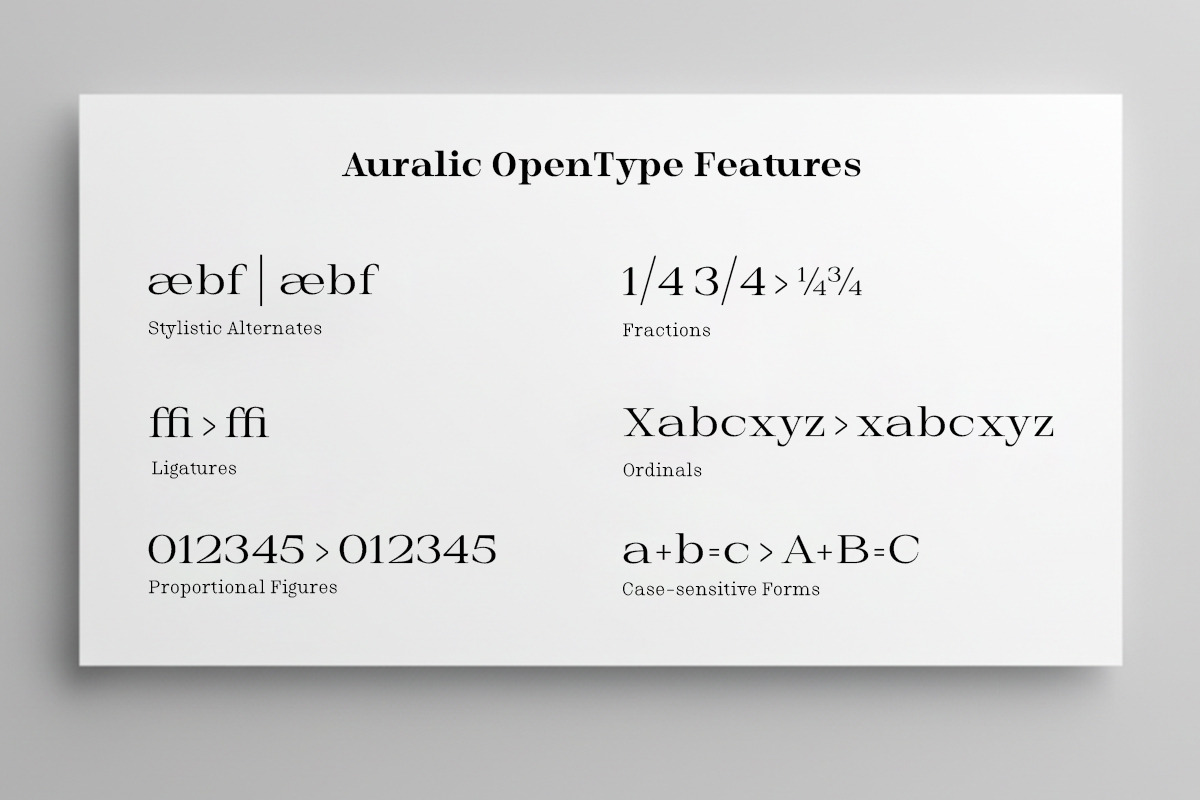 Auralic, a Serif Font by Black Studio (Photo 8 of 18)
