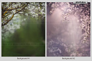 Spring Portrait Backgrounds, a Wallpaper Graphic by MixPixBox (Thumbnail 3 of 10)