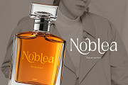 Ardellea, a Serif Font by din-studio.com (Thumbnail 2 of 16)