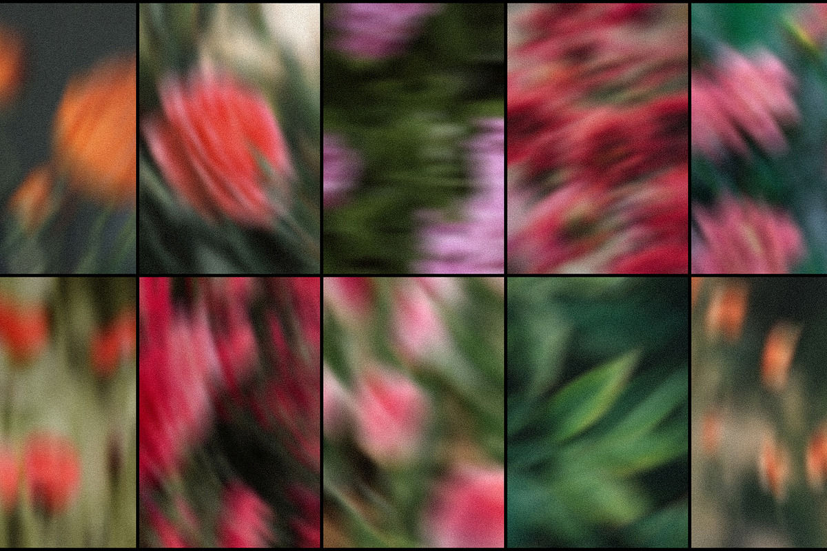 Drifting Blooms, a Background Graphic by Dina Mae (Photo 5 of 12)