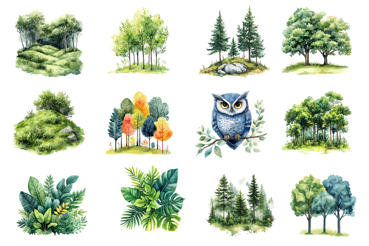 Watercolor Green Forest Clipart, an Illustration by Dream Creation (Photo 5 of 8)