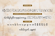 Camedyan, a Script Font by Essentials Studio (Thumbnail 7 of 8)