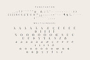Diastema – Modern Ligature Typeface, a Serif Font by Issam Type (Thumbnail 12 of 14)