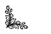 Floral Corner Ornament Vector Bundle, an Illustration by Designs_River (Thumbnail 37 of 51)