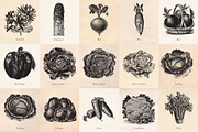 Vintage Fruit Vegetables & Flowers, an Object Graphic by Eclectic Anthology (Thumbnail 2 of 11)