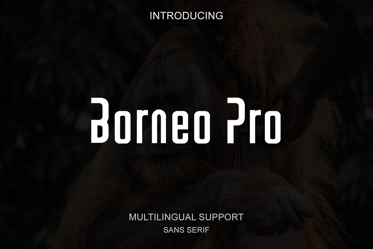 Borneo Pro - Modern Sans Serif, a Sans Serif Font by portype (Photo 1 of 5)
