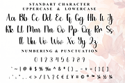 Barbie Monogram, a Handwritten Font by FreshTypeINK (Thumbnail 6 of 8)