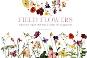 Field Flowers Watercolour Clipart, a Decorative Illustration by whiteheartdesign (Thumbnail 1 of 20)