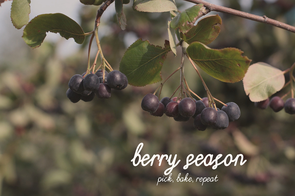 Handwritten font Twinkleberry, a Handwritten Font by Eves_Aquadreams (Photo 13 of 14)