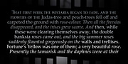 Palladio FS, a Serif Font by FontSite Inc. (Thumbnail 2 of 2)