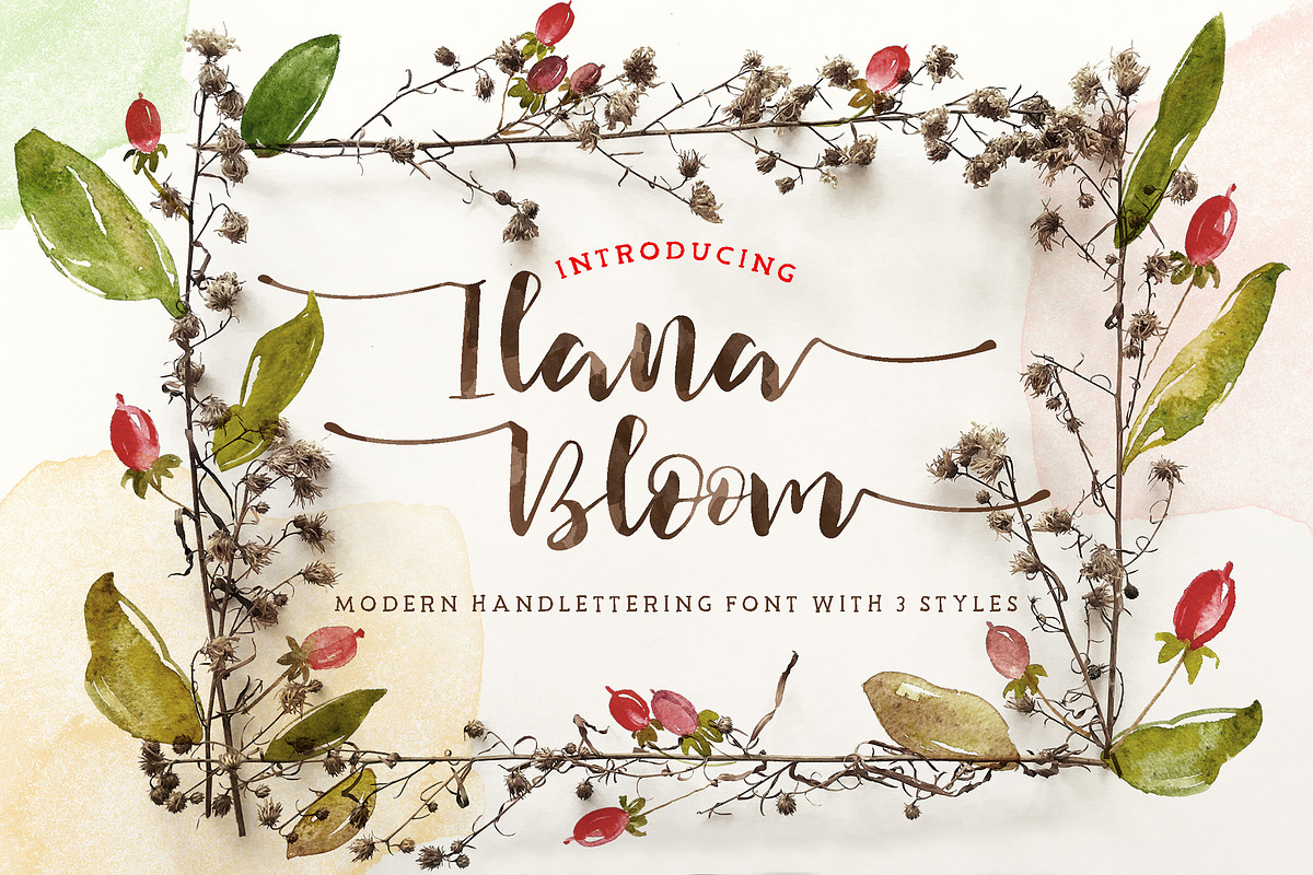 Ilana Bloom Script