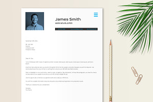 Developer Engineer Resume Template