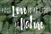 Aura font duo!, a Script Font by Andrea De Oliveira (Thumbnail 5 of 6)