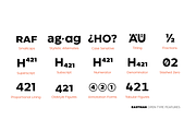Eastman - 42 fonts, a Sans Serif Font by Zetafonts (Thumbnail 12 of 12)