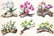 Exclusive Orchid Ikebana on Driftwoo, an Illustration by DreamCafeArt (Thumbnail 2 of 7)