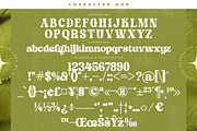 Garden Delight Modern Retro Serif, a Serif Font by timelesstype.co (Thumbnail 18 of 20)