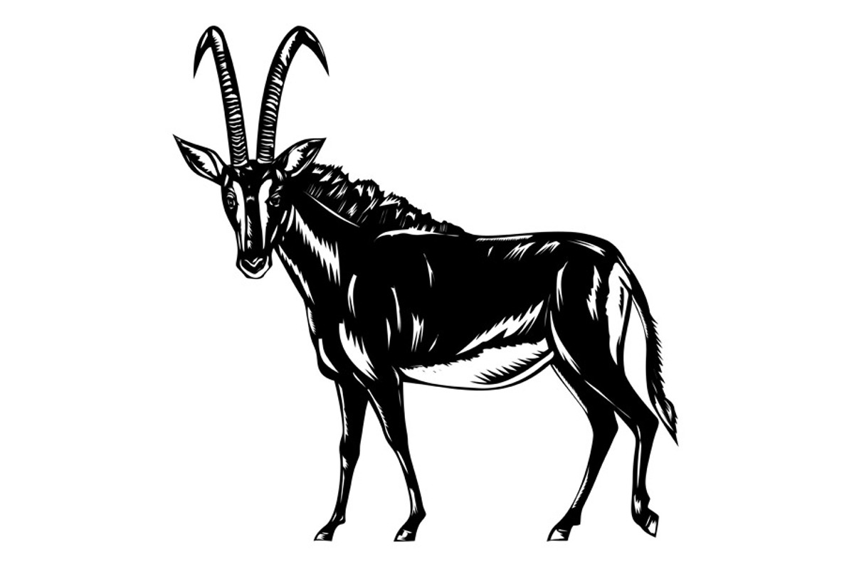 Sable Antelope Side Woodcut Style, an Illustration by patrimonio