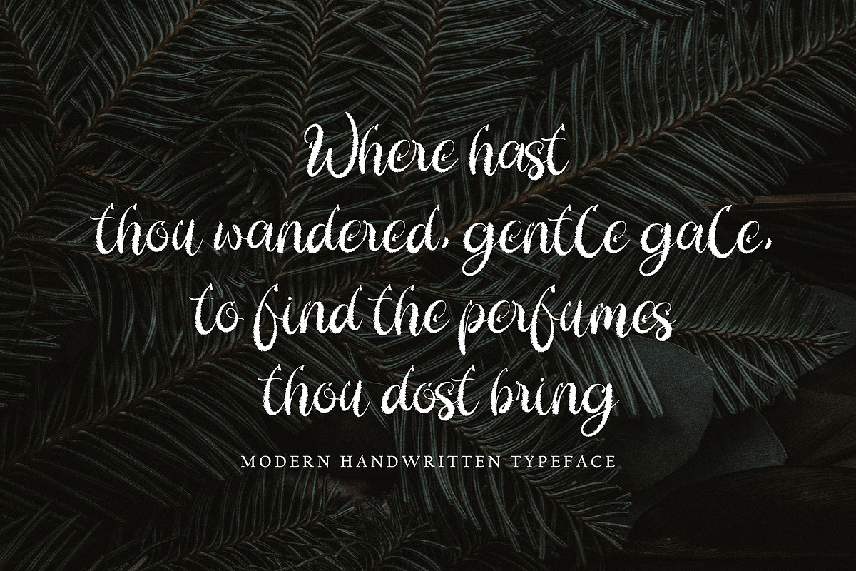 Paulinha, a Script Font by pineungtype (Photo 3 of 6)