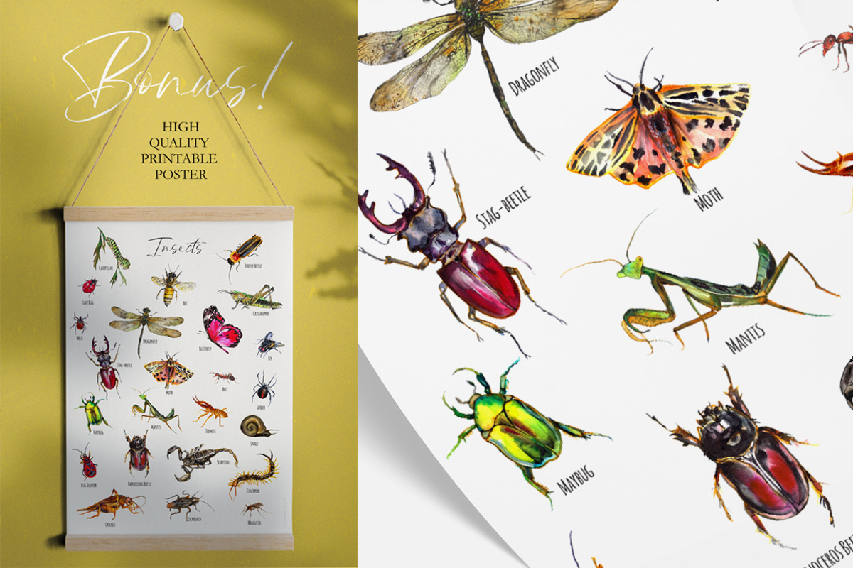 Insects and bugs watercolor clipart, an Object Graphic by ArtSpotVeronika (Photo 9 of 11)