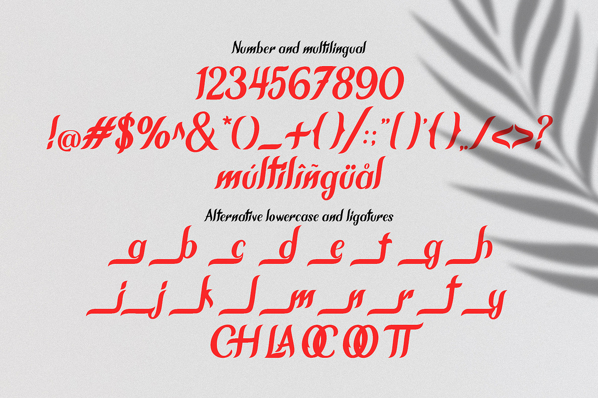 Chameron Modern Serif preview 7
