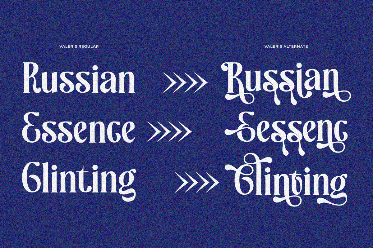 Valeris, a Serif Font by zaaintype (Photo 6 of 11)