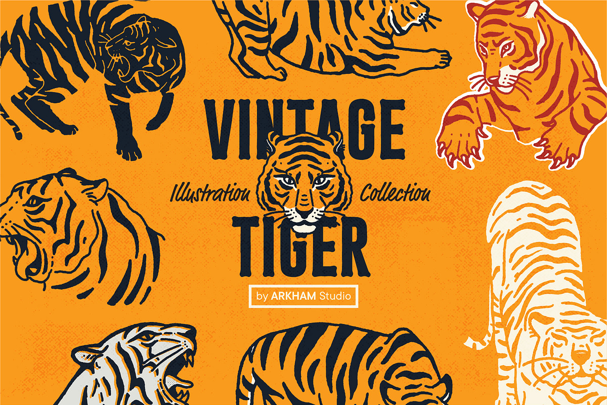 Vintage Tiger Illustrations, an Animal Illustration by ARQAM Studio (Photo 1 of 9)