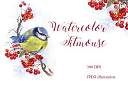 SALE! Watercolor Titmouse Great tit, a Decorative Illustration by MaryAmi (Thumbnail 1 of 3)