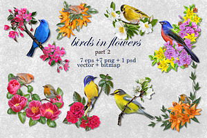 World of birds and flowers Part2