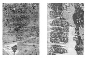 Rugged Halftone Grunge Textures, a Texture Graphic by AL's Design Studio (Thumbnail 12 of 15)