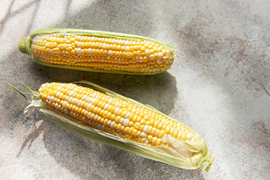Fresh corn cobs on concrete background, a Food & Drink Photo by Olena Rudo