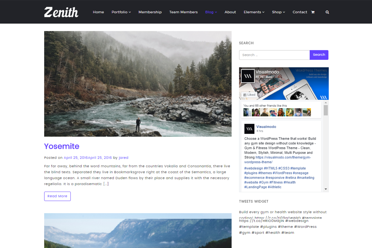 Zenith - Responsive WordPress Theme, a WordPress Template by Visualmodo