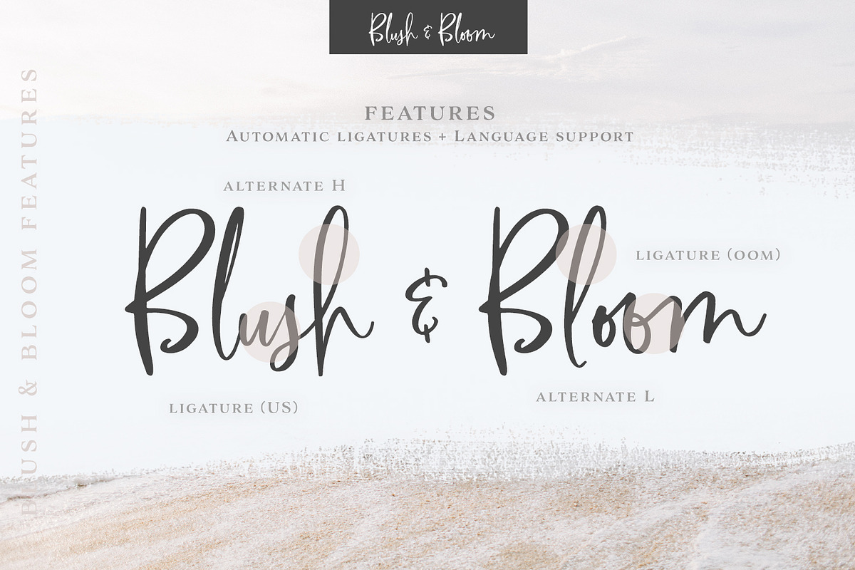Blush & Bloom Signature Type, a Script Font by Callie Rian & Co. (Photo 13 of 19)