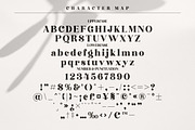 Hochagi Classy Serif Font, a Script Font by Storytype Studio (Thumbnail 7 of 9)